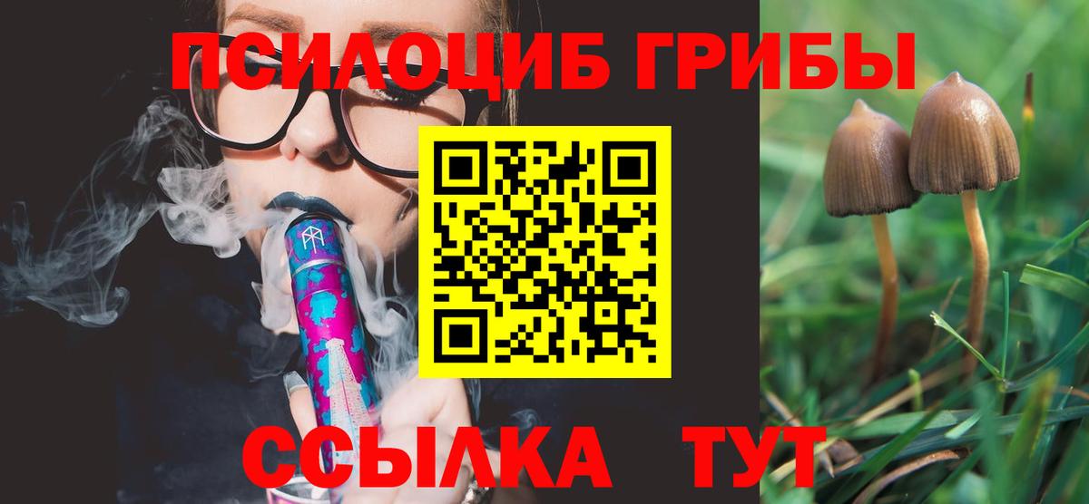 Псилоцибиновые грибы MAGIC MUSHROOMS  Вход с VPN  Псилоцибиновые грибы Magic Shrooms  Каменка 